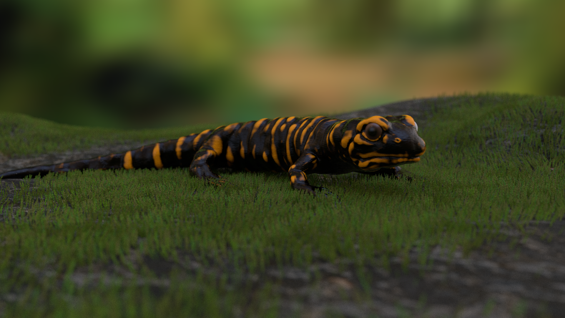 fire salamander on mossy rock 1